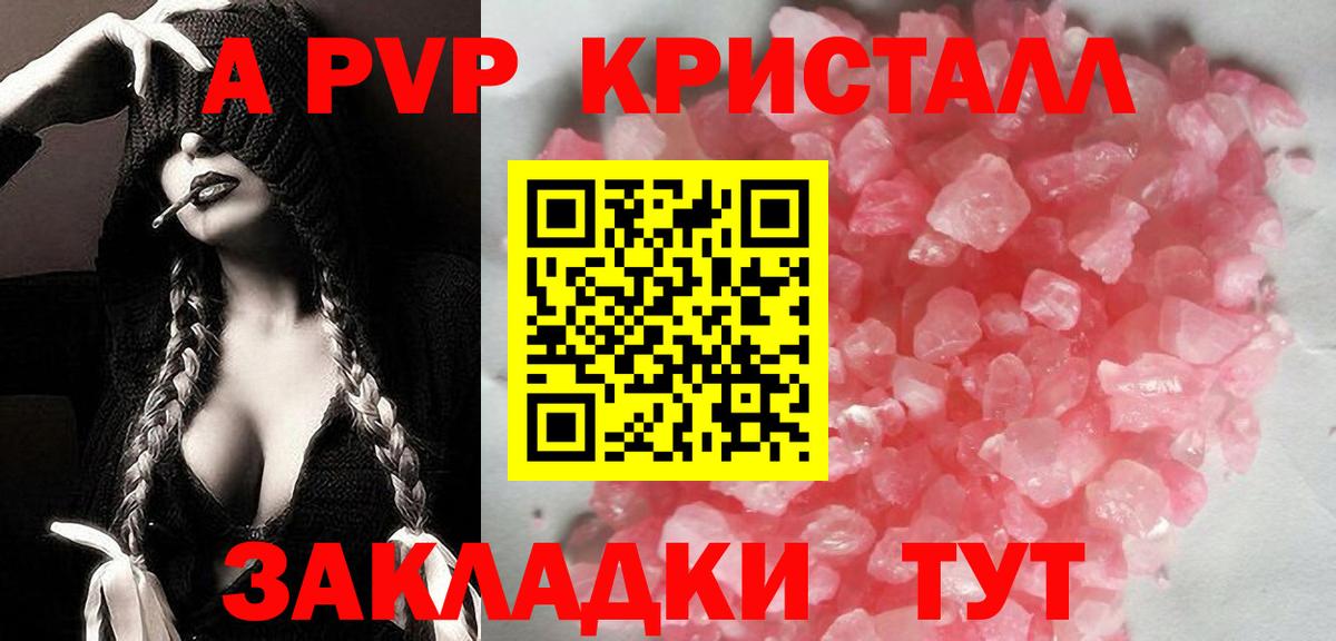 Альфа ПВП СК Камень-на-Оби