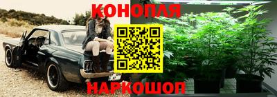 спиды Беслан