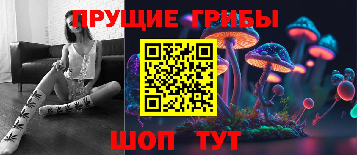 Галлюциногенные грибы Psilocybe  Вход с VPN  Камень-на-Оби  Галлюциногенные грибы мухоморы 