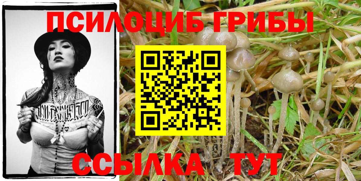 Галлюциногенные грибы мухоморы Камень-на-Оби
